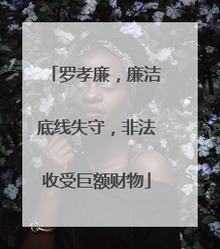 罗孝廉，廉洁底线失守，非法收受巨额财物