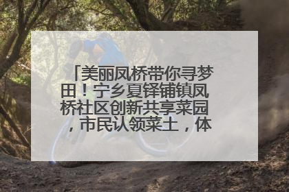 美丽凤桥带你寻梦田！宁乡夏铎铺镇凤桥社区创新共享菜园，市民认领菜土，体验耕种收获乐趣