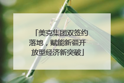 美克集团双签约落地，赋能新疆开放型经济新突破