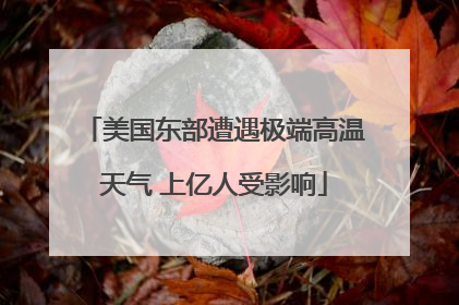美国东部遭遇极端高温天气 上亿人受影响