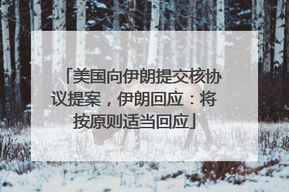 美国向伊朗提交核协议提案，伊朗回应：将按原则适当回应