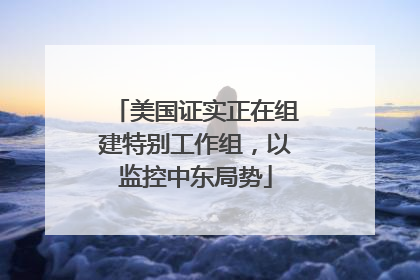 美国证实正在组建特别工作组，以监控中东局势