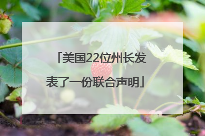 美国22位州长发表了一份联合声明
