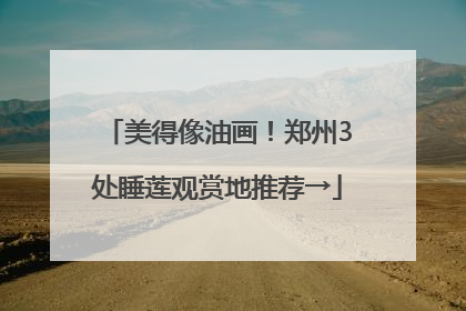美得像油画！郑州3处睡莲观赏地推荐→