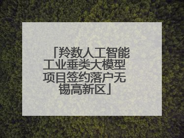 羚数人工智能工业垂类大模型项目签约落户无锡高新区