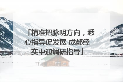 精准把脉明方向，悉心指导促发展 成都经实中迎调研指导