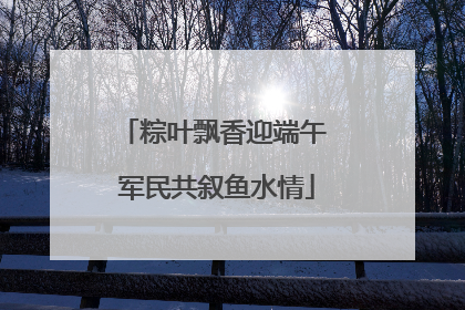 粽叶飘香迎端午 军民共叙鱼水情