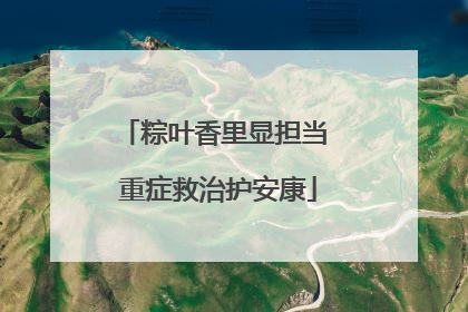粽叶香里显担当 重症救治护安康