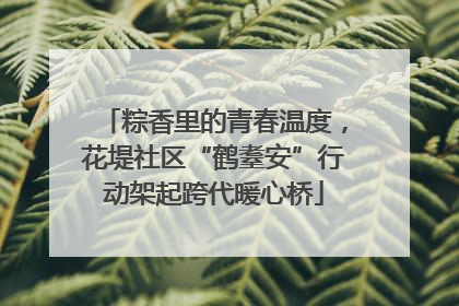 粽香里的青春温度，花堤社区“鹤耋安”行动架起跨代暖心桥