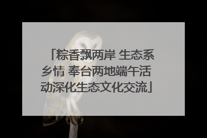 粽香飘两岸 生态系乡情 奉台两地端午活动深化生态文化交流