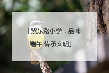 紫东路小学：品味端午 传承文明