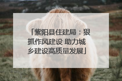 紫阳县住建局：狠抓作风建设 助力城乡建设高质量发展
