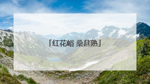 红花峪 桑葚熟