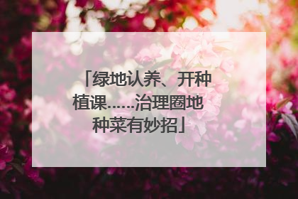 绿地认养、开种植课……治理圈地种菜有妙招