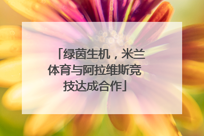 绿茵生机，米兰体育与阿拉维斯竞技达成合作