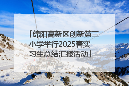 绵阳高新区创新第三小学举行2025春实习生总结汇报活动