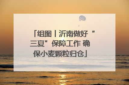 组图丨沂南做好“三夏”保障工作 确保小麦颗粒归仓