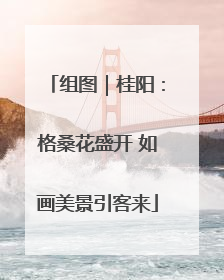 组图｜桂阳：格桑花盛开 如画美景引客来