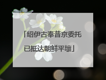 绍伊古奉普京委托已抵达朝鲜平壤