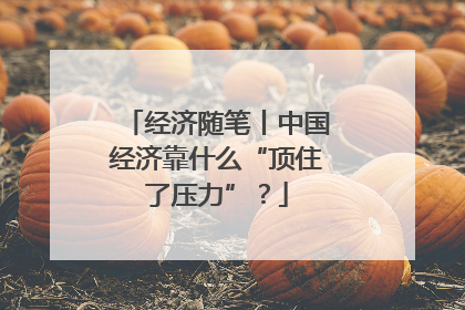 经济随笔丨中国经济靠什么“顶住了压力”？