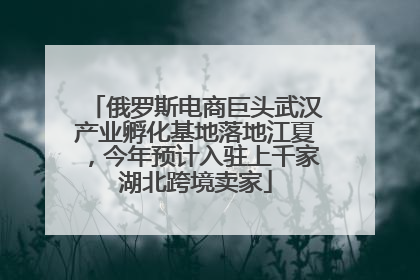 俄罗斯电商巨头武汉产业孵化基地落地江夏，今年预计入驻上千家湖北跨境卖家