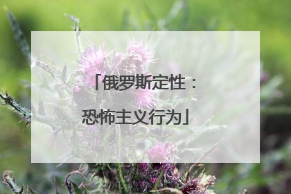 俄罗斯定性：恐怖主义行为