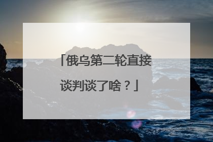 俄乌第二轮直接谈判谈了啥？