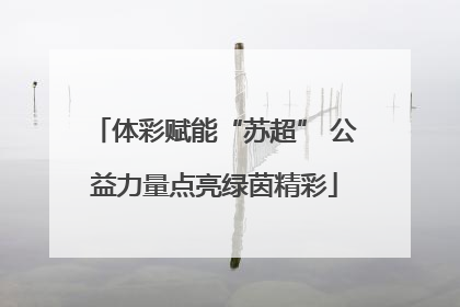 体彩赋能“苏超” 公益力量点亮绿茵精彩
