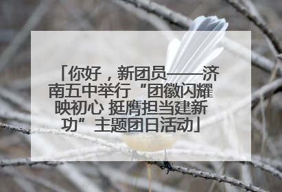 你好，新团员——济南五中举行“团徽闪耀映初心 挺膺担当建新功”主题团日活动