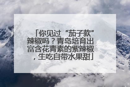 你见过“茄子款”辣椒吗？青岛培育出富含花青素的紫辣椒，生吃自带水果甜