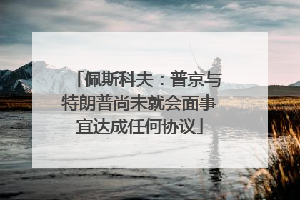 佩斯科夫：普京与特朗普尚未就会面事宜达成任何协议