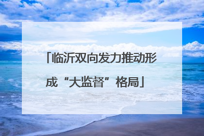 临沂双向发力推动形成“大监督”格局