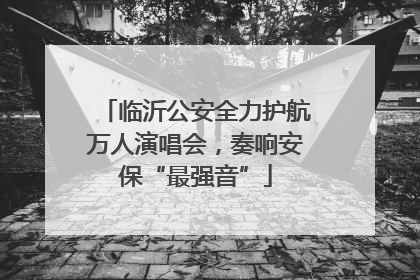 临沂公安全力护航万人演唱会，奏响安保“最强音”
