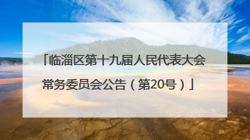 临淄区第十九届人民代表大会常务委员会公告（第20号）
