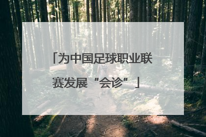 为中国足球职业联赛发展“会诊”