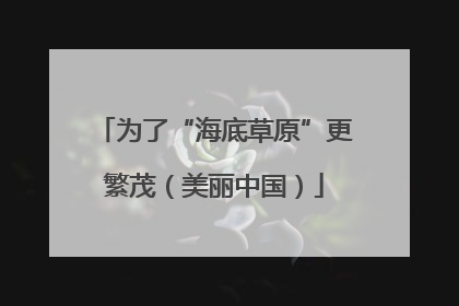 为了“海底草原”更繁茂（美丽中国）