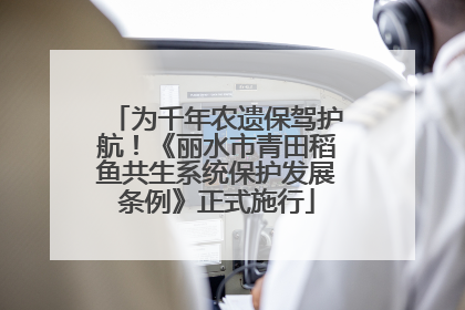 为千年农遗保驾护航！《丽水市青田稻鱼共生系统保护发展条例》正式施行