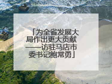 为全省发展大局作出更大贡献——访驻马店市委书记鲍常勇