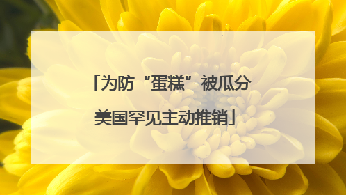 为防“蛋糕”被瓜分 美国罕见主动推销