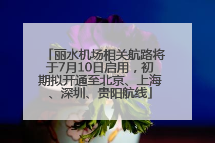 丽水机场相关航路将于7月10日启用，初期拟开通至北京、上海、深圳、贵阳航线