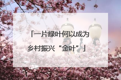 一片绿叶何以成为乡村振兴“金叶”