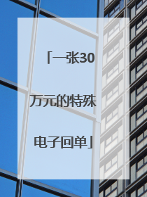 一张30万元的特殊电子回单
