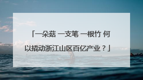 一朵菇 一支笔 一根竹 何以撬动浙江山区百亿产业？