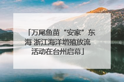 万尾鱼苗“安家”东海 浙江海洋增殖放流活动在台州启幕