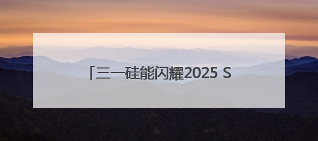 三一硅能闪耀2025 SNEC展，智能微网成焦点