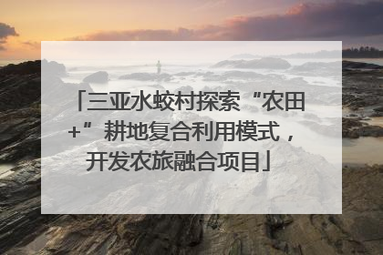 三亚水蛟村探索“农田+”耕地复合利用模式，开发农旅融合项目