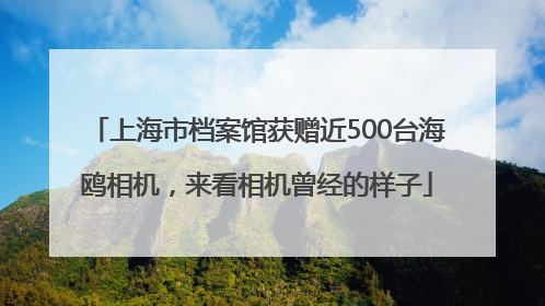 上海市档案馆获赠近500台海鸥相机，来看相机曾经的样子