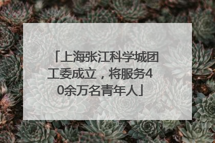 上海张江科学城团工委成立，将服务40余万名青年人