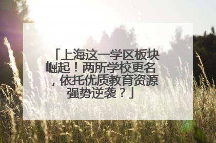 上海这一学区板块崛起！两所学校更名，依托优质教育资源强势逆袭？