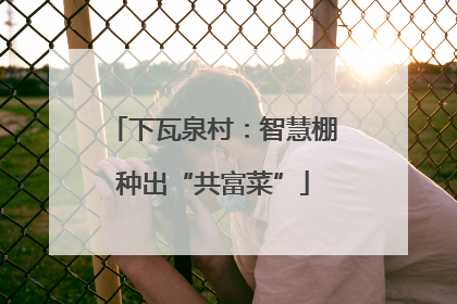 下瓦泉村：智慧棚种出“共富菜”